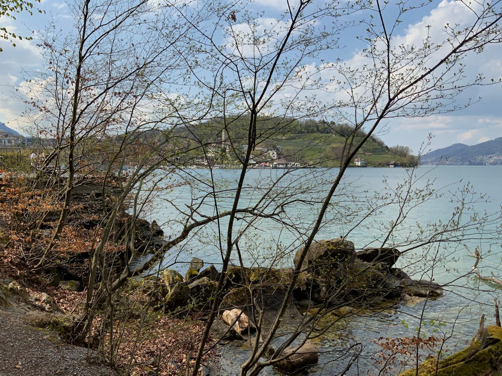 梁山伯与祝英台